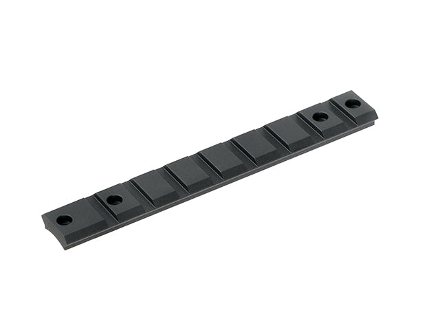 Rail Mount for VSR10