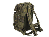 MODULAR MEDIUM ASSAULT PACK 15 L - MT
