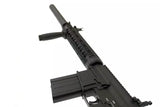 SNR25 DMR Riffel