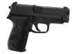 WE P228 Full Metal GBB - Black