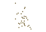 Walther Gold stål-BB 4,5 mm – 1500 stk.