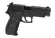 AW Custom Swiss Arms P226R Full Metal GBB - Black