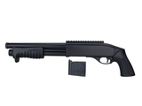 Ashbore Trench Shotgun, spring