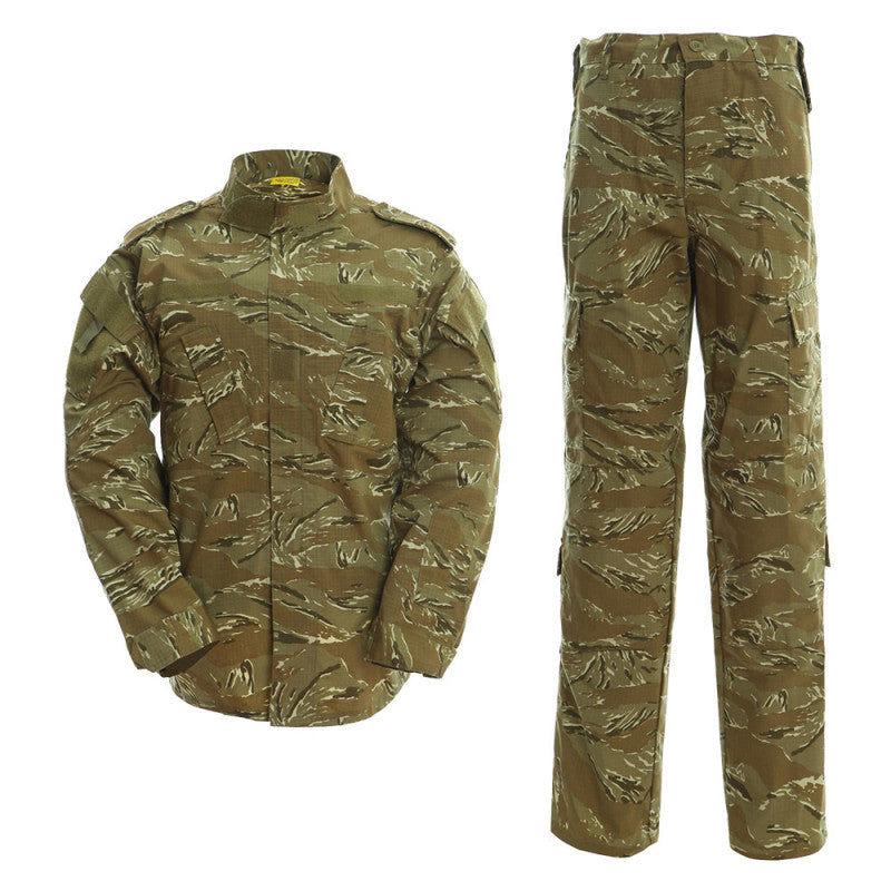 KOMPLETT UNIFORMSSATS - DESERT TIGER STRIPE